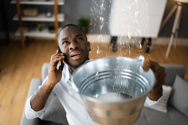 Best Flood damage cleanup  in Monroeville, AL