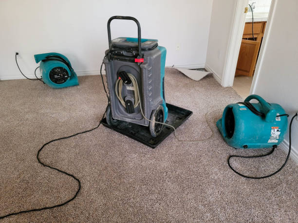 Best 24-hour water damage restoration  in Monroeville, AL