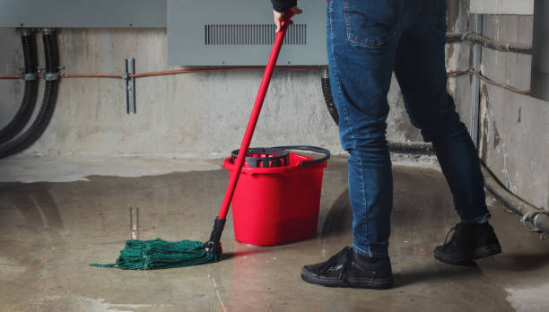 Best Sewage cleanup and water damage restoration  in Monroeville, AL
