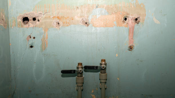 Best Water damage restoration experts  in Monroeville, AL