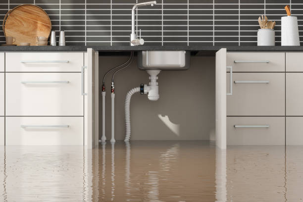 Best Emergency water damage restoration  in Monroeville, AL
