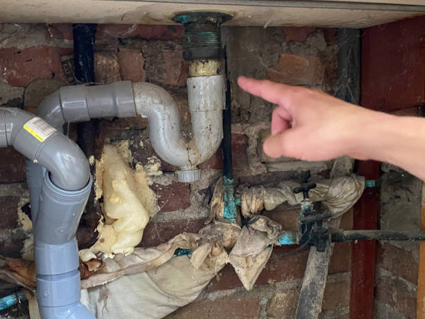 Best Water damage contractors near me  in Monroeville, AL