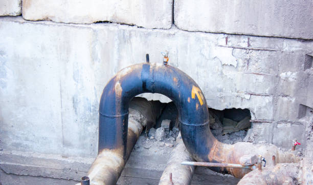 Best Water damage cleanup near me  in Monroeville, AL