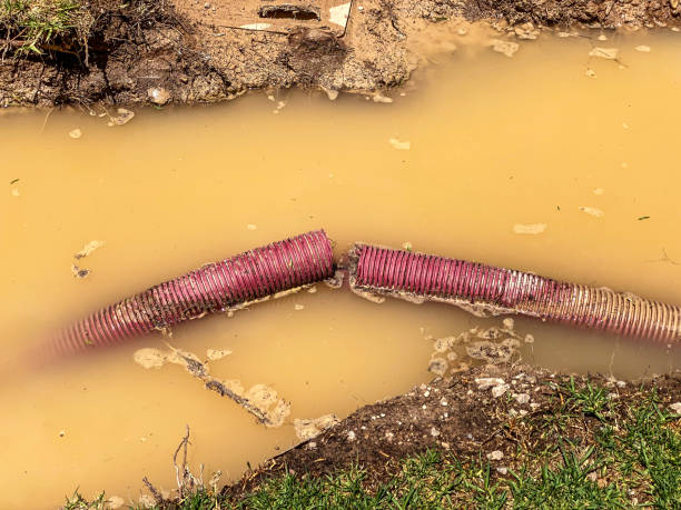 Best Carpet water damage restoration  in Monroeville, AL