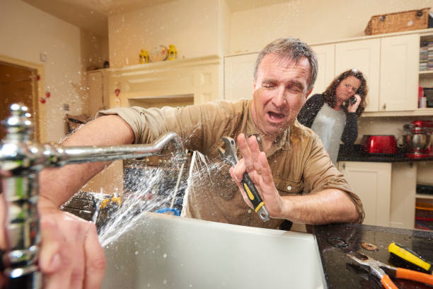 Best Local water damage restoration  in Monroeville, AL